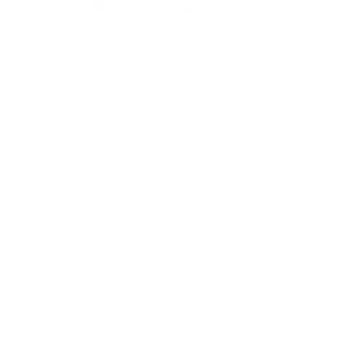 Government Seal reading Excelsior E Pluribus Unum